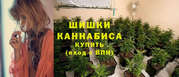 прущие грибы Алзамай