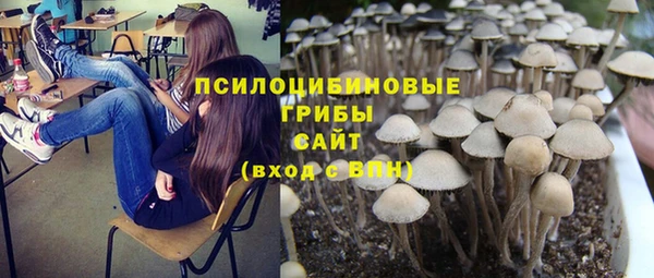 бутират Алексин