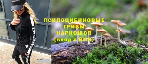 бутират Алексин