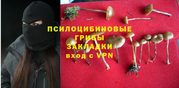 прущие грибы Алзамай